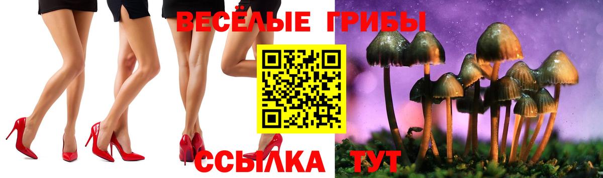 Осинники  Псилоцибиновые грибы MAGIC MUSHROOMS  Вход с VPN 